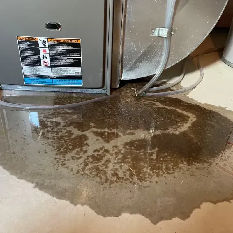 Appliance Leak Cleanup in Ashland, OH